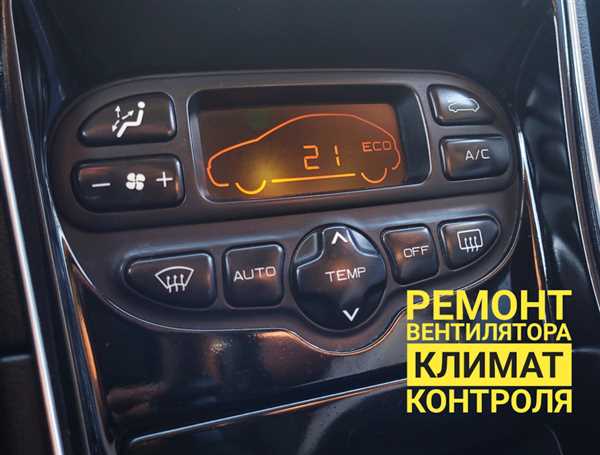 Засорение